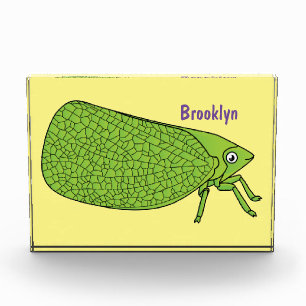 Bloc Photo Illustration de l'insecte de la trémie verte mûre