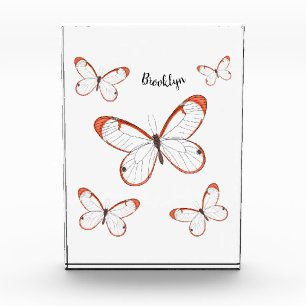 Bloc Photo Illustration de papillon en verre