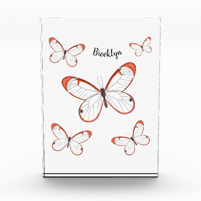 Bloc Photo Illustration de papillon en verre (Devant)