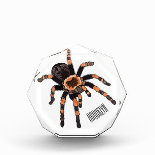 Bloc Photo Illustration de Tarantula