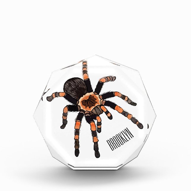 Bloc Photo Illustration de Tarantula (Devant)
