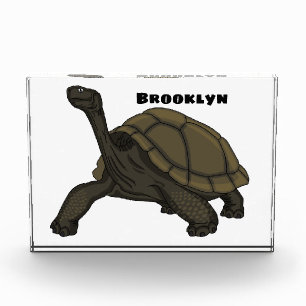 Bloc Photo Illustration de tortue terrestre des Galapagos