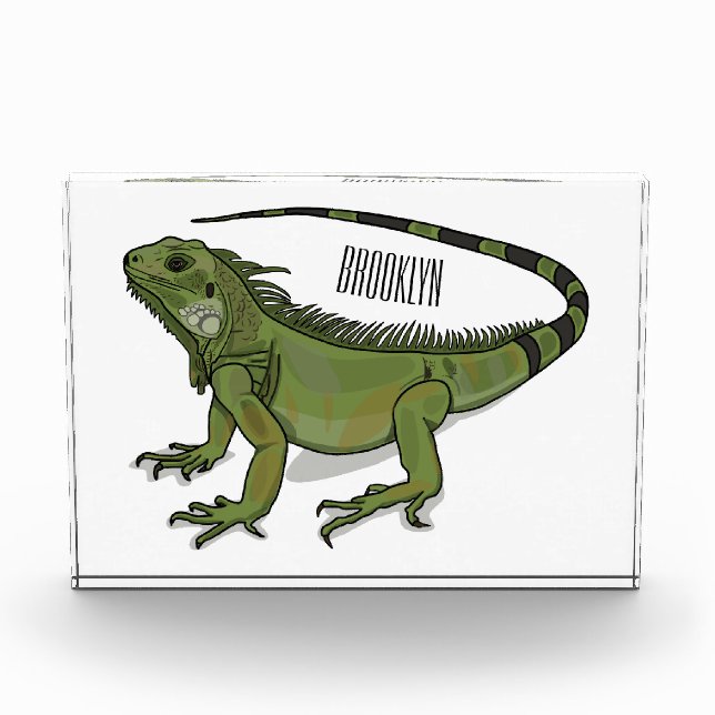 Bloc Photo Illustration d'Iguana (Devant)