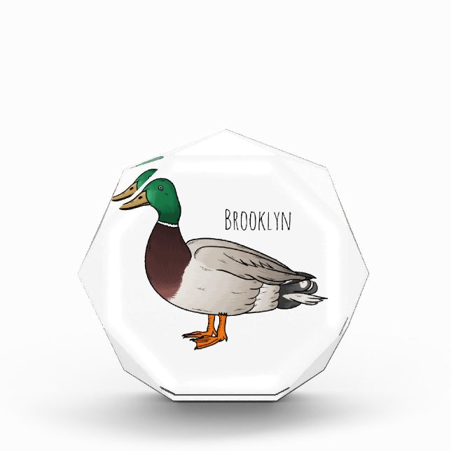 Bloc Photo Illustration du canard de Majard (Devant)