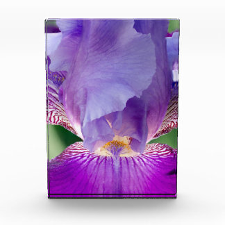 Bloc Photo Iris Nature / Floral / Photo botanique