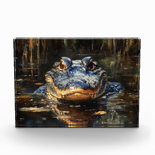 Bloc Photo Joli Alligator en Floride Everglades Peinture