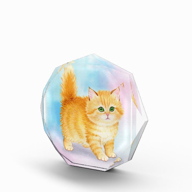 Bloc Photo Joli Chat Tigre Orange (Droite)