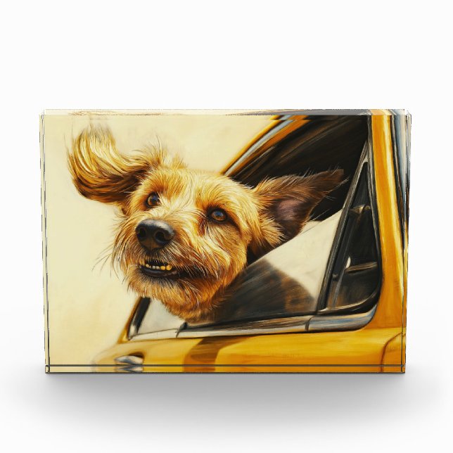 Bloc Photo Jouer Chien Profitant De Voiture Ride Art (Devant)