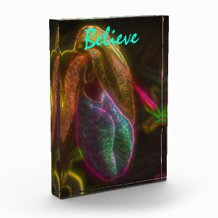 Bloc Photo Lady Slipper Croit Des Mots Inspirants