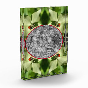 Bloc Photo Ladybug Sur La Fleur De Dogwood Ajoutez Votre Prop