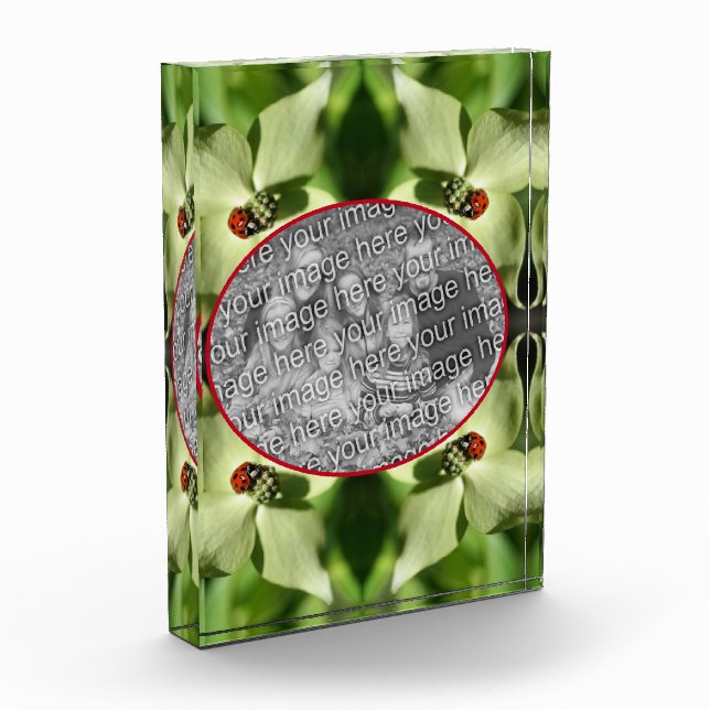 Bloc Photo Ladybug Sur La Fleur De Dogwood Ajoutez Votre Prop (Gauche)