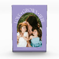 L'amour grandit ici moderne lilas à arche