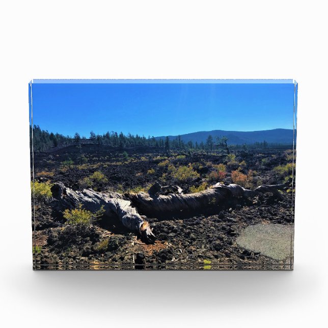 Bloc Photo Lava Cast Forest, OR (Devant)