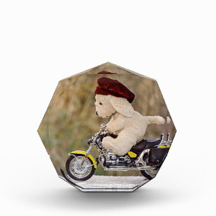 Bloc Photo Le motard - Chien -