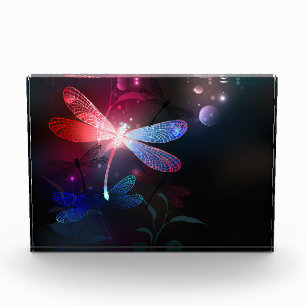 Bloc Photo libellule rouge brillante