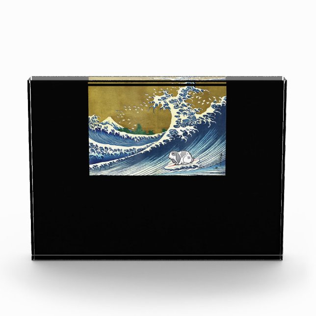 Bloc Photo Lop Rabbit Surf| Mignons lapins de lapin (Devant)