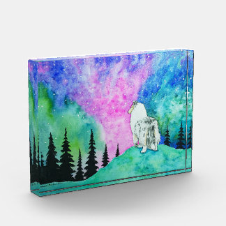 Bloc Photo Lumières du Nord