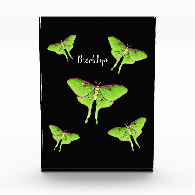 Bloc Photo Luna Moth cartoon illustration   (Devant)