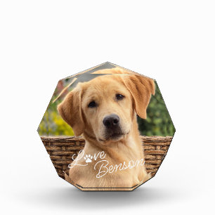 Bloc Photo Meilleur Ami Photo Amour Empreinte de patte Coeur