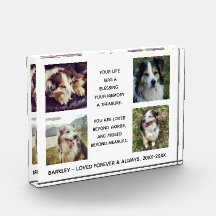 Mémorial aux animaux de compagnie avec quatre phot