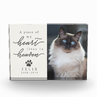 Bloc Photo Mémorial de chat élégant avec cœur en crème vivant