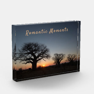 Bloc Photo Moments romantiques Coucher de soleil Sacred Baoba