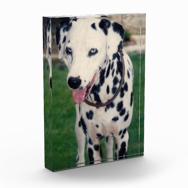 Bloc Photo Mon Ami Pet Téléchargez Votre Propre Image Personn (Gauche)