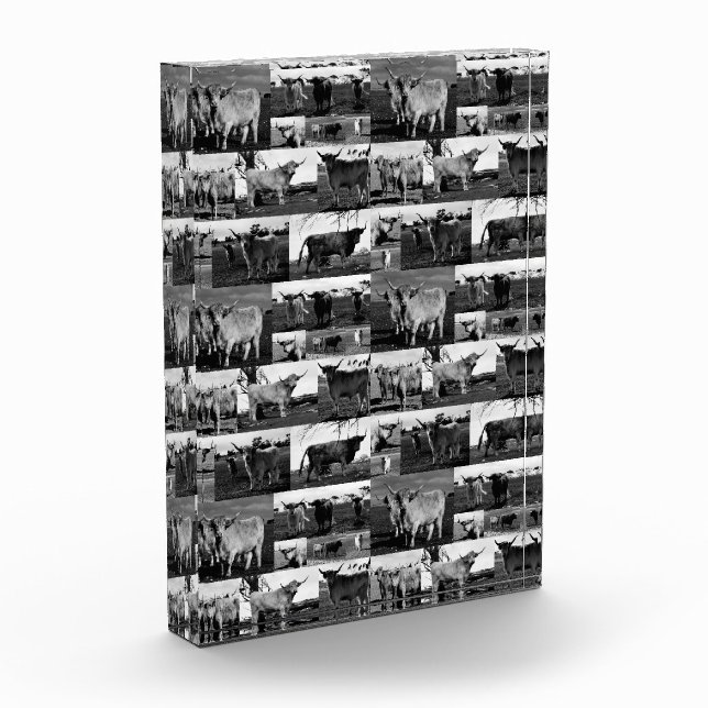 Bloc Photo Monochrome Majesty : un collage photo de vache Hig (Gauche)