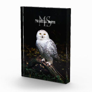 Bloc Photo Monographie de hivernal majestueux hivernal