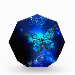 Bloc Photo Morpho Butterfly in the Dark Background