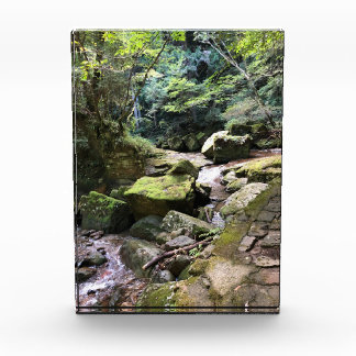 Bloc Photo Mossy Mountain Stream in a Japanese Forest Jigsaw