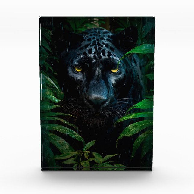 Bloc Photo Mystérieux Black Panther Jungle Faune Design (Devant)