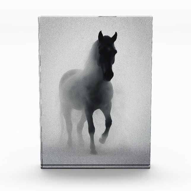 Bloc Photo Mystérieux cheval noir émergeant de la brume (Devant)