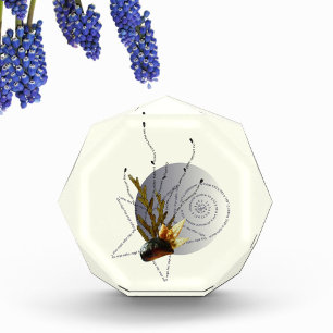 Bloc Photo Natation 2 poème de grossesse étoile côtière moder