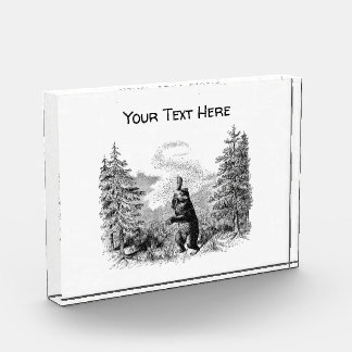 Bloc Photo Nimrod - Ours et abeilles