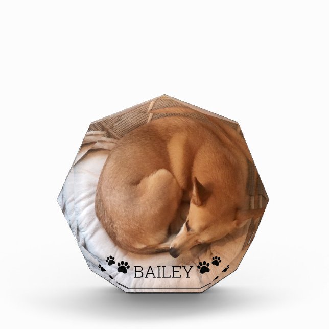 Bloc Photo Nom de la photo de l'animal de compagnie de chien  (Devant)