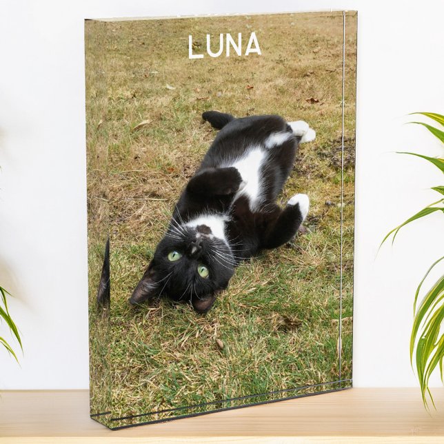 Bloc Photo Nom personnalisé de l'animal de compagnie moderne (Modern photo personalized custom name photo block for family or pet pictures)