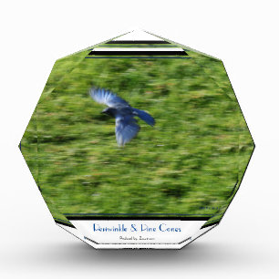 Bloc Photo Oiseau bleu qui monte en flèche à travers un champ