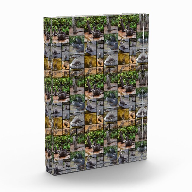 Bloc Photo **"Otterly Adorable : Un collage photo de Otters (Gauche)