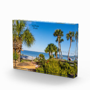 Bloc Photo Palm Trees Bayside Morning Photo Block