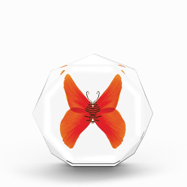 Bloc Photo Papillon rouge orange avec votre nom (Devant)