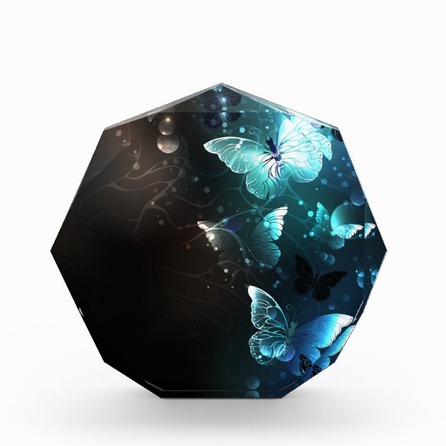 Bloc Photo Papillons de nuit (Devant)