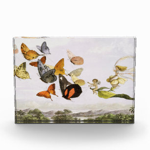 Bloc Photo Papillons vintages & Fée Vieux art d'illustration