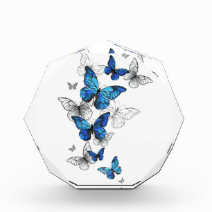 Bloc Photo Papillons volants bleus Morpho
