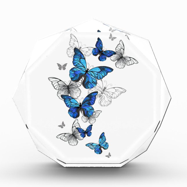 Bloc Photo Papillons volants bleus Morpho (Devant)