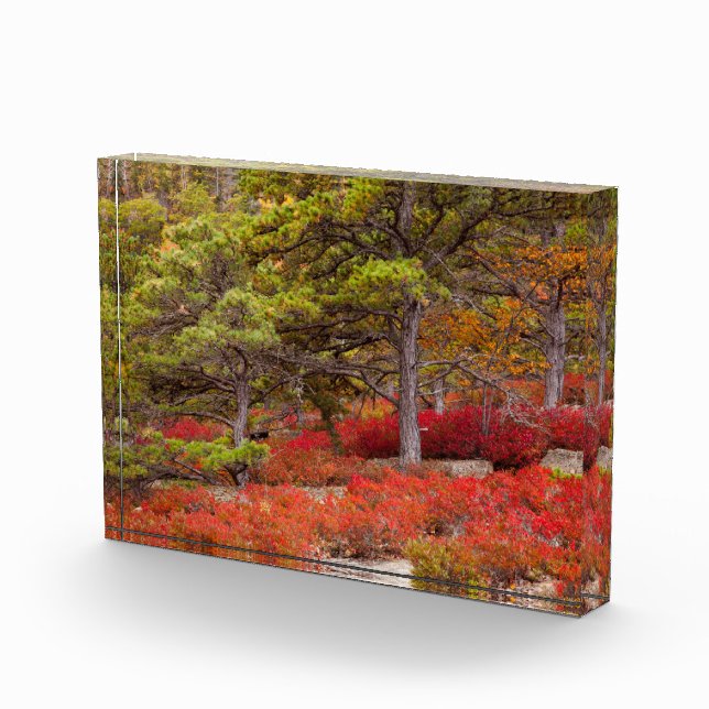 Bloc Photo Parc national d'Acadia, Maine (Droite)