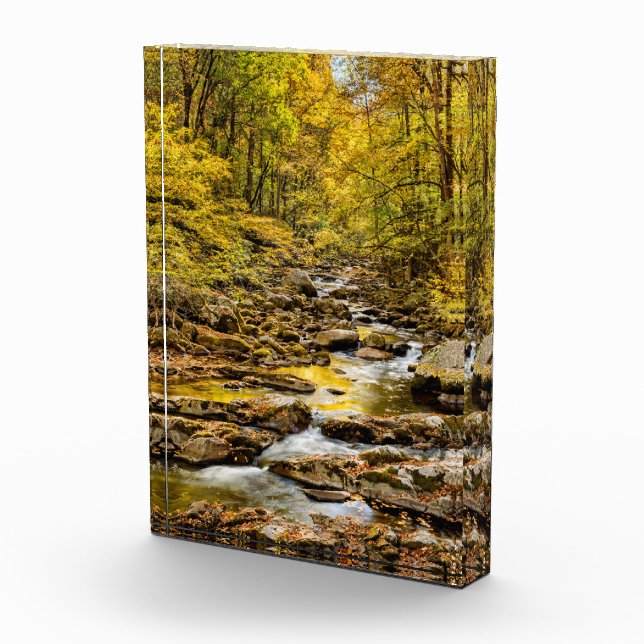 Bloc Photo Parc national des Great Smoky Mountains. Big Creek (Droite)