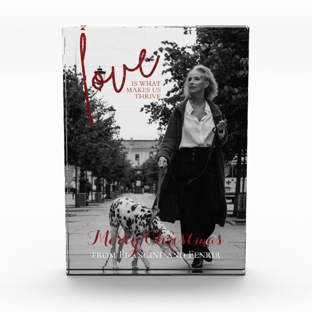 Bloc Photo Parties scintillant rouge Script élégant Photo de  (Devant)