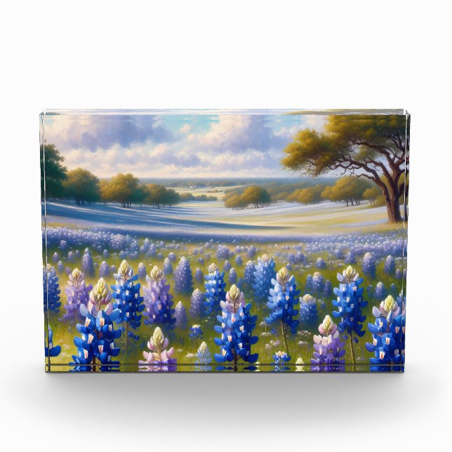 Bloc Photo Paysage de prairie de bleuets du Texas (Devant)