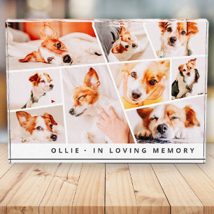 Bloc Photo Pet Memorial Modern Simple Chic Collage